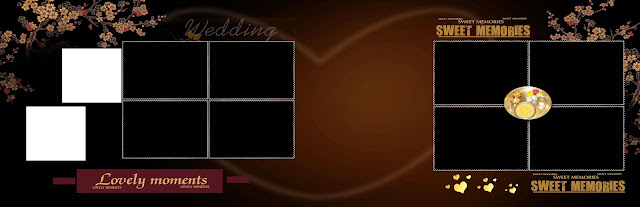 wedding photos background album