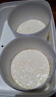 6. Après un temps de repos, il faut retourner les fromages dans leur moule à faisselle.