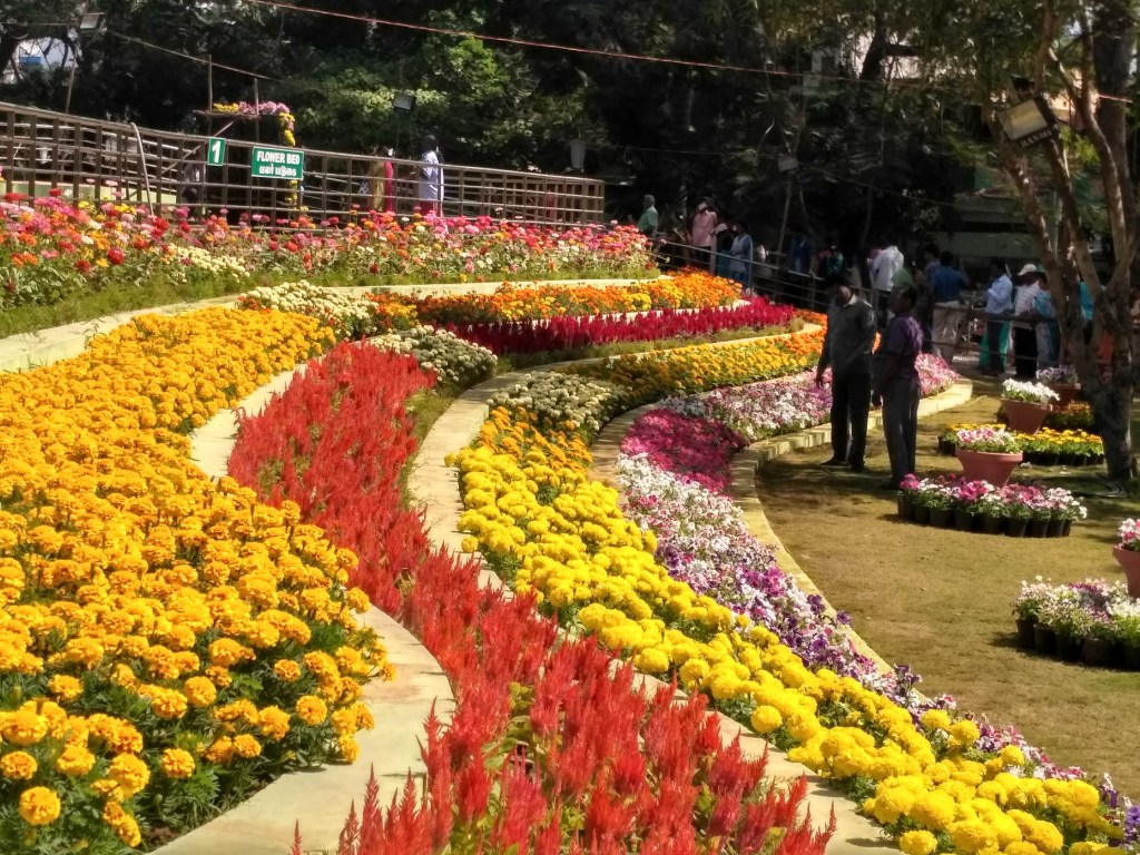 Pondicherry Tourism Botanical Garden, Puducherry
