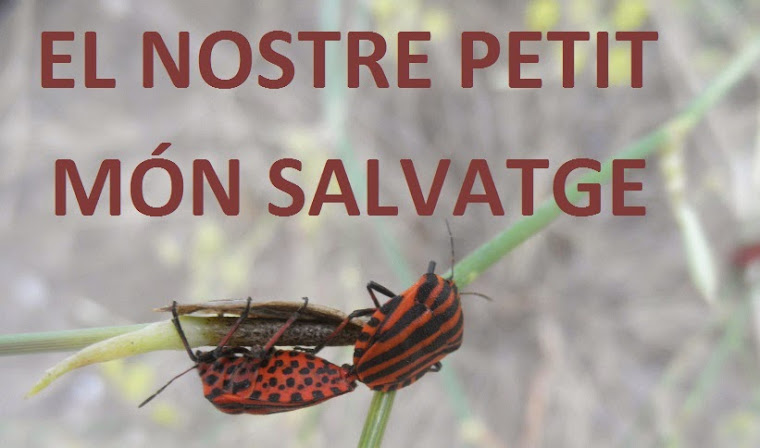 El nostre petit món salvatge