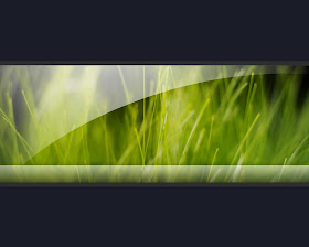 Best Walpaper | Walpaper Gallery: Green Nature - 2011 Green Wallpaper