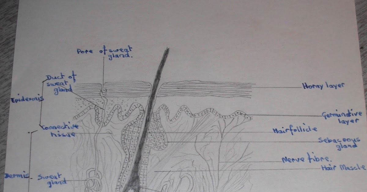 Love my life How do you wash your feet in the shower?