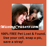 Go to MissingCritters.com