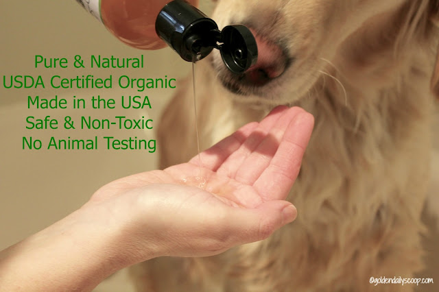 dog health, giving a dog a bath, natural and organic 4 Legger dog shampoo review giveaway