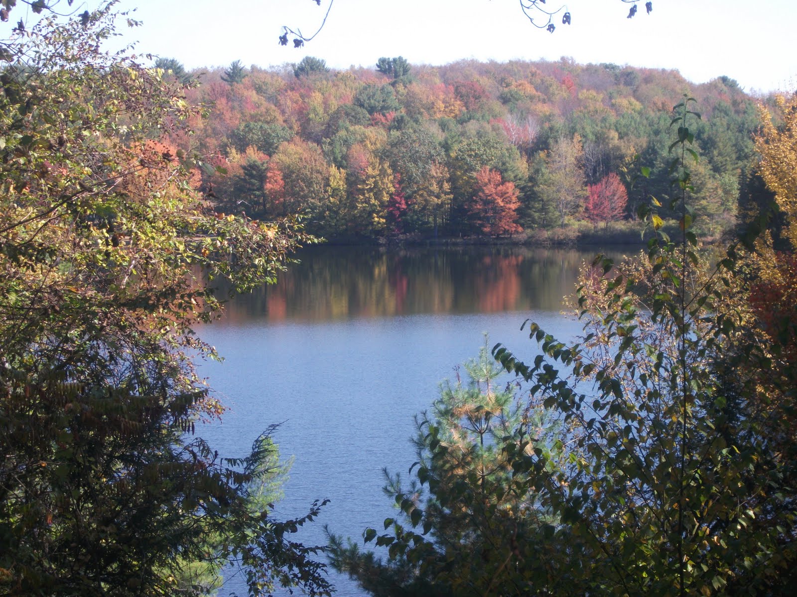 Latest news from the farm... Fall Scenes from Buckhorn Lake