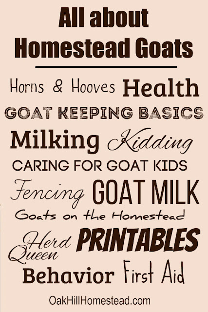 If you want to be a better goat keeper, you need the information in these articles. Learn about goat care, the benefits of keeping goats, caring for goat kids, fencing, horns and more, including free printables to help you care for your goats.