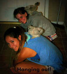 Meljo s Place: Which came first the chicken or the coop