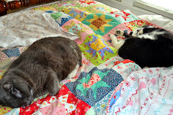 Tex and Harry love quilts too!