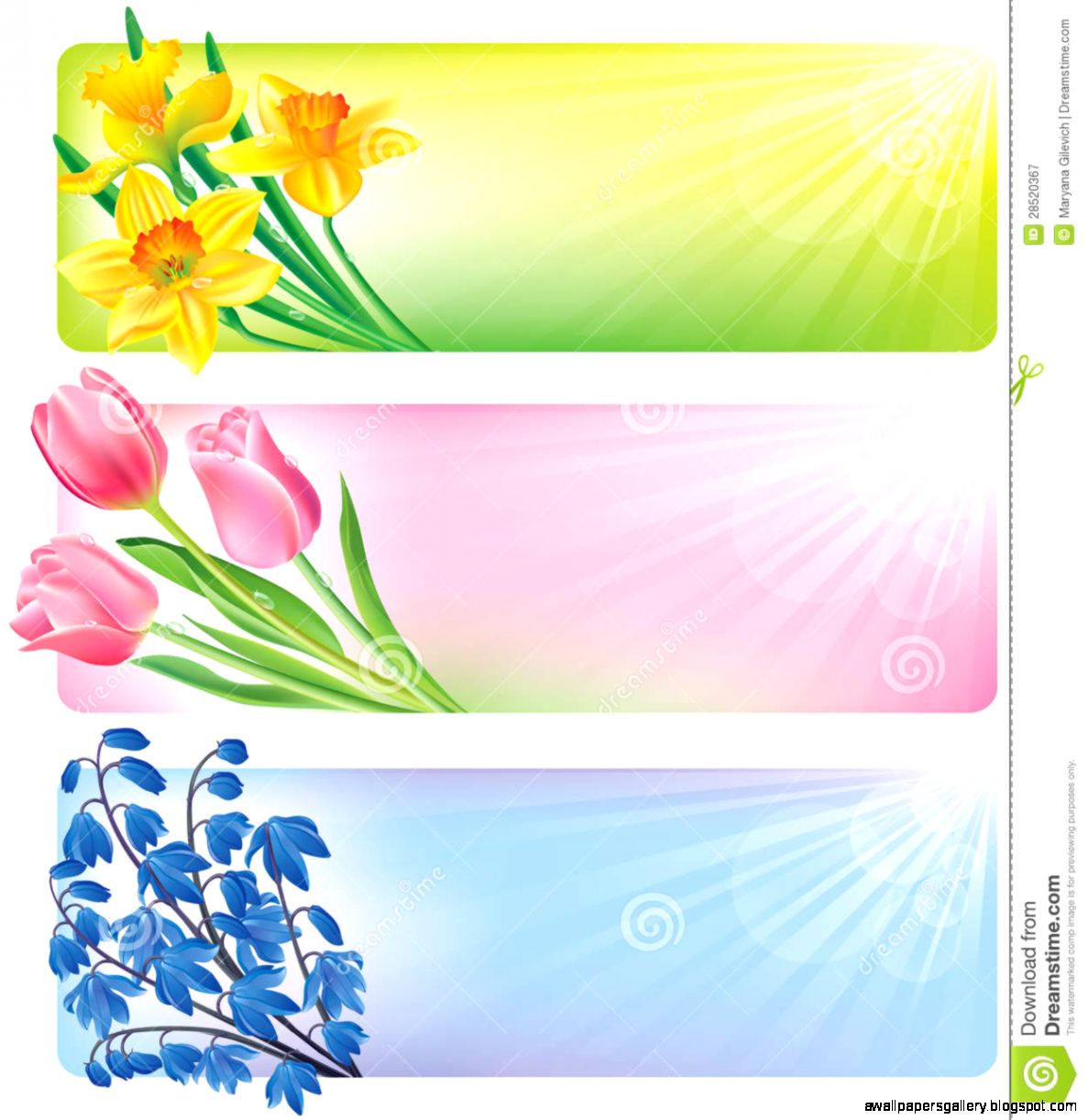 Spring Flowers Banner