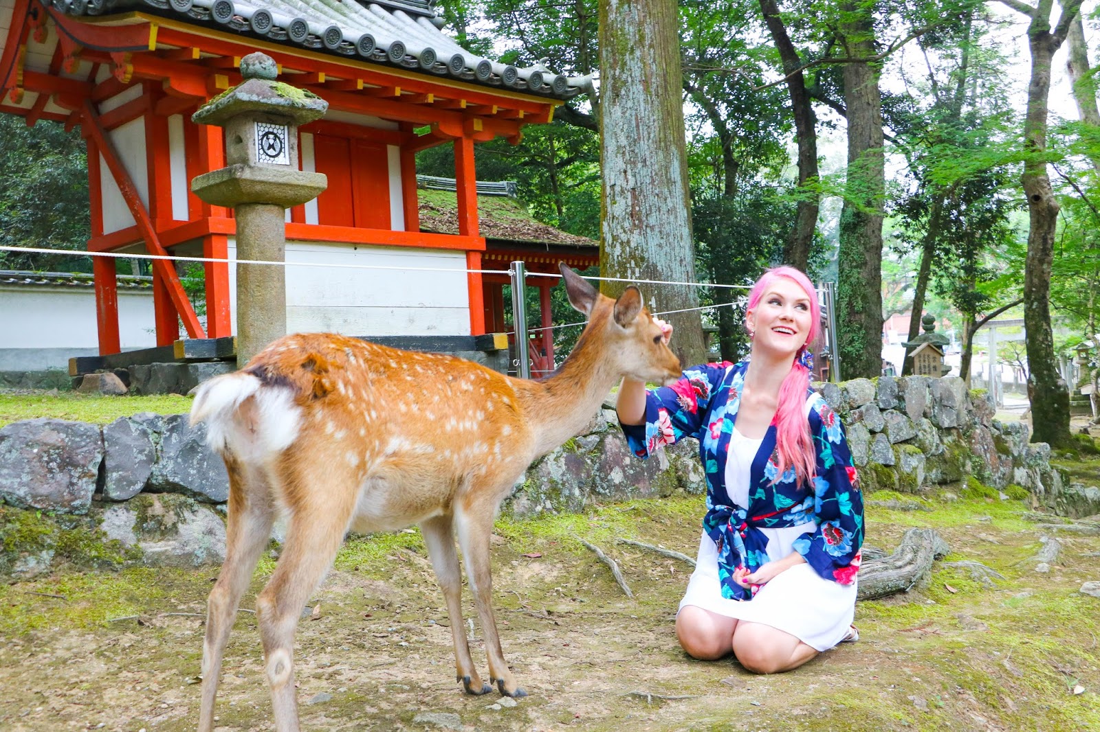 Travel Nara Japan