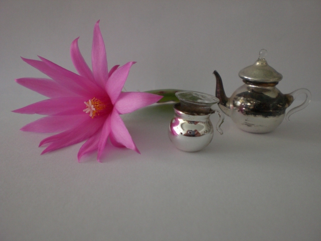 Zahnfeee´s Blog: Habt ihr noch alle Tassen im Schrank?