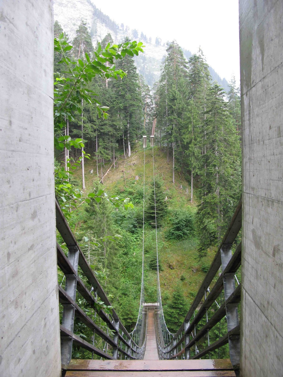 Design of a Stress Ribbon Glulam Footbridge Across a Steep Forest
