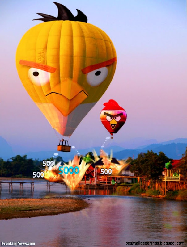 Funny Balloon Pictures   Freaking News