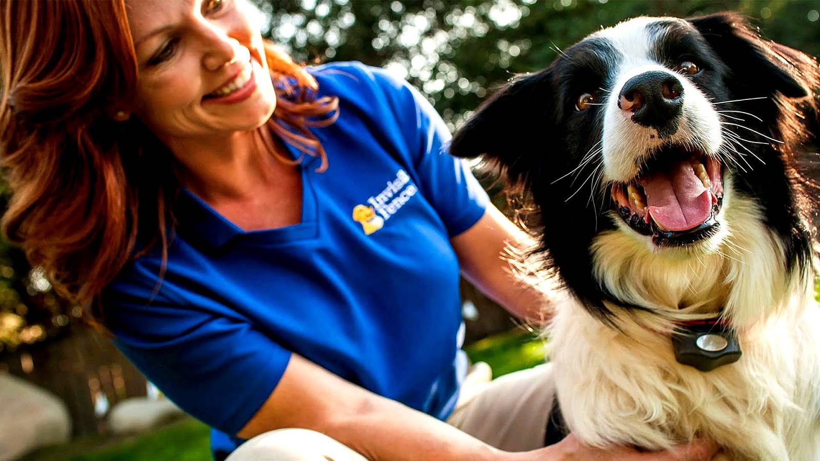 Invisible Fence Inc Fence Choices