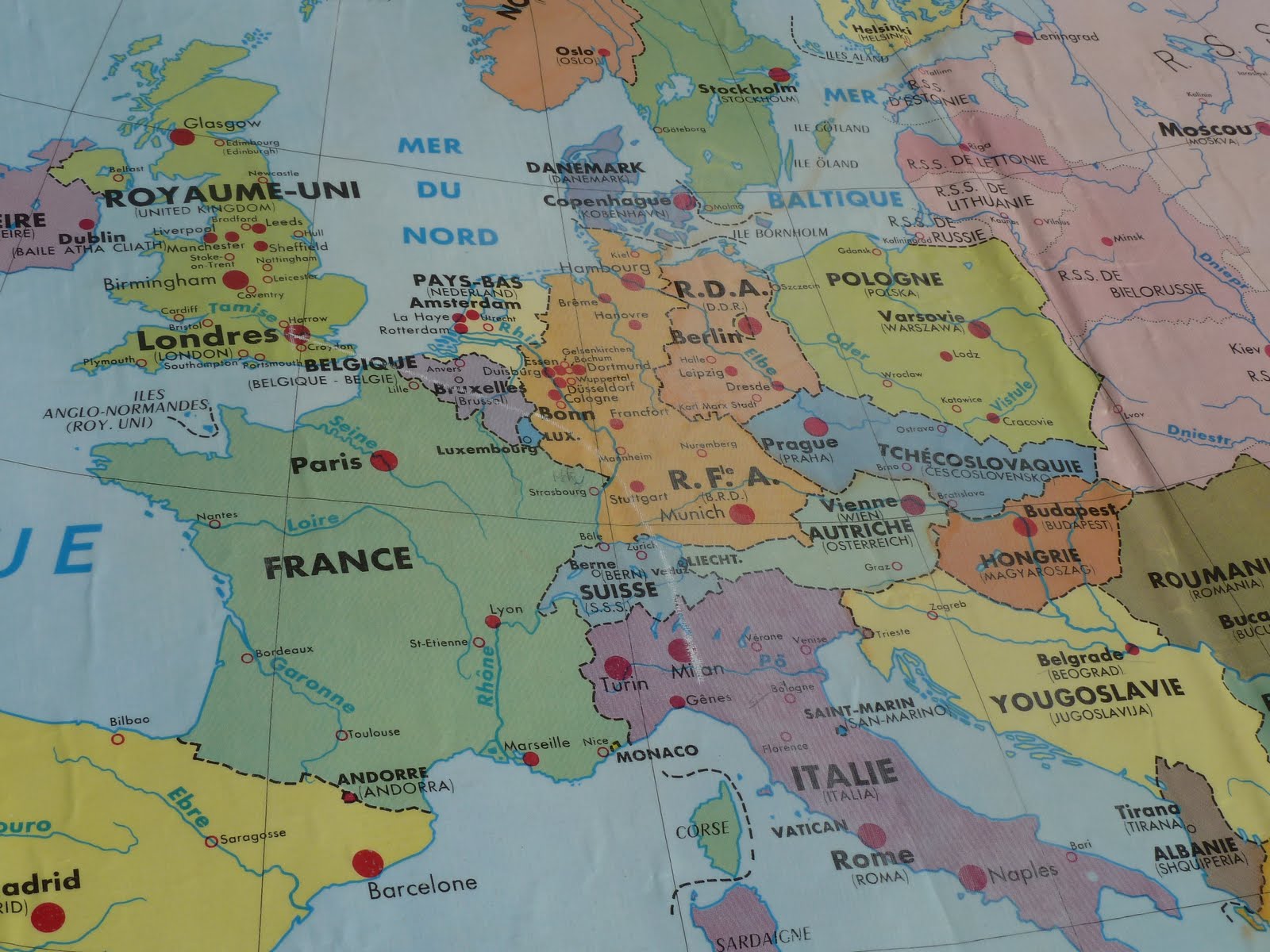 Vintage French Posters Botany Animals Anatomy, old World Maps from