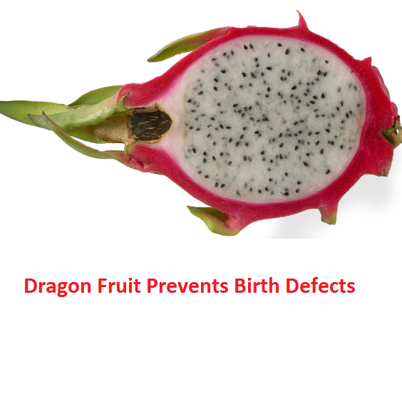 Dragon Fruit Prevents Birth Defects