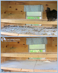 chicken board droppings poop boards chickens chick happens because coop roost exam physical run checkup diy ways sick different