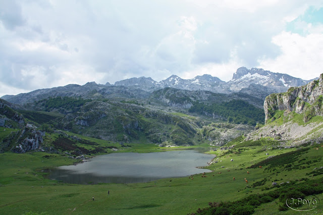 Lagos de Covadonga