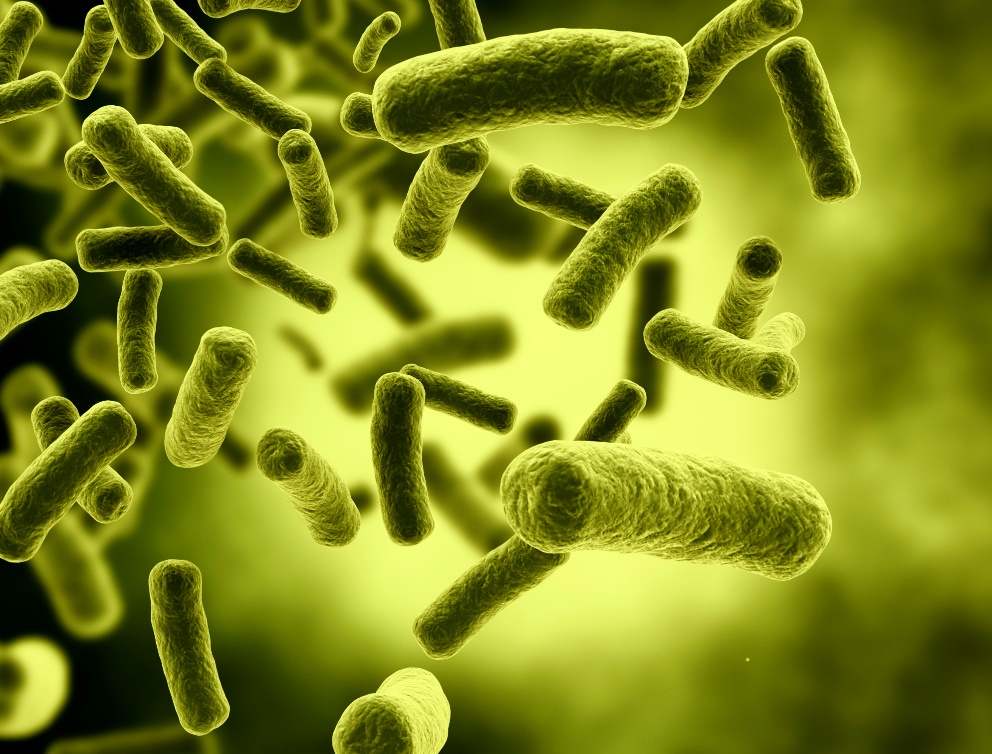 Bacterias Actuaciencia: Historia secreta de E. coli