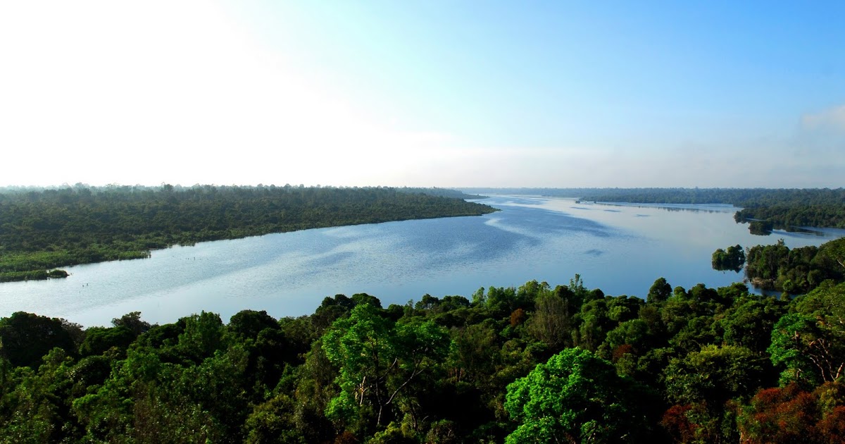 Jenisjenis Sumber Daya Alam Materi Geografi Gudang