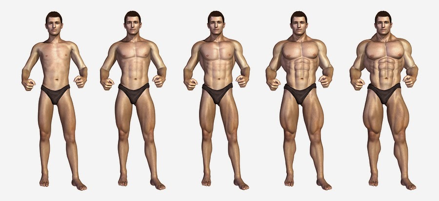 Muscle Palace How Many Calories To Gain Muscle