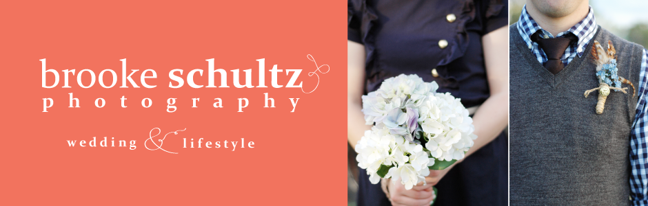 Brooke Schultz Photography--Utah County Wedding and Lifestyle Photographer
