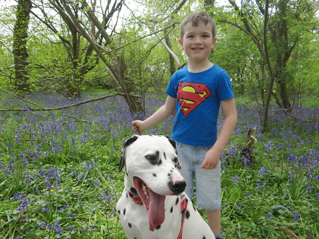 Dalmatian and children