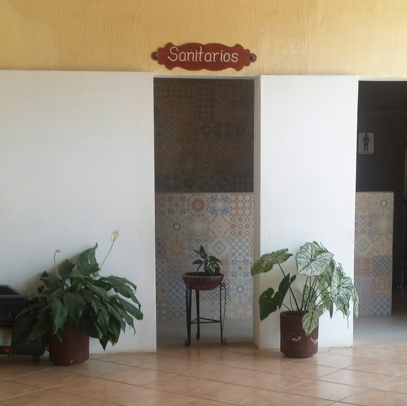 Autumn's Adventures in Mexico Let's Talk Toilets