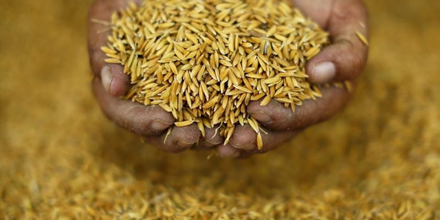 Food and Agriculture organisation Food+and+Agriculture+organisation