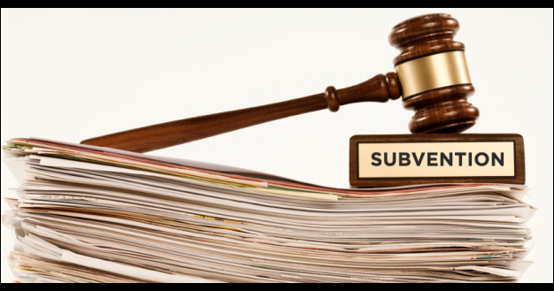 Types des subventions | Cours fsjes