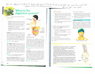 Digestive System Gizmo Answer Key Pdf, Gizmo Answer Key For Digestive