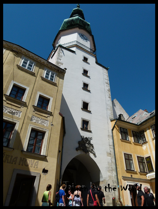 República Checa y un trocito de Eslovaquia - Blogs de Checa Rep. - Visita a una pequeña y encantadora ciudad, llamada Bratislava (7)
