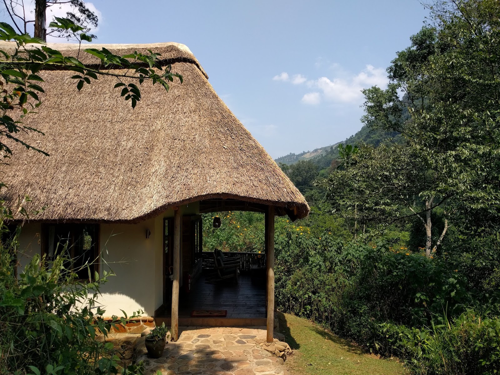 Travel Pennies A Peek Inside Bwindi Lodge, Uganda Room Video