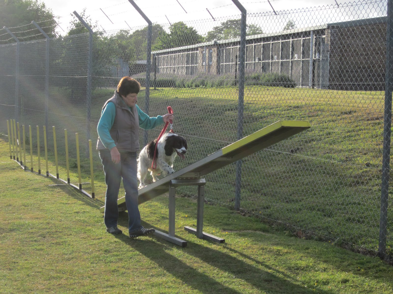 Prince Rock Dog Training & Agility Club, Plymouth Agility at Gables Dogs & Cats Home, Plympton