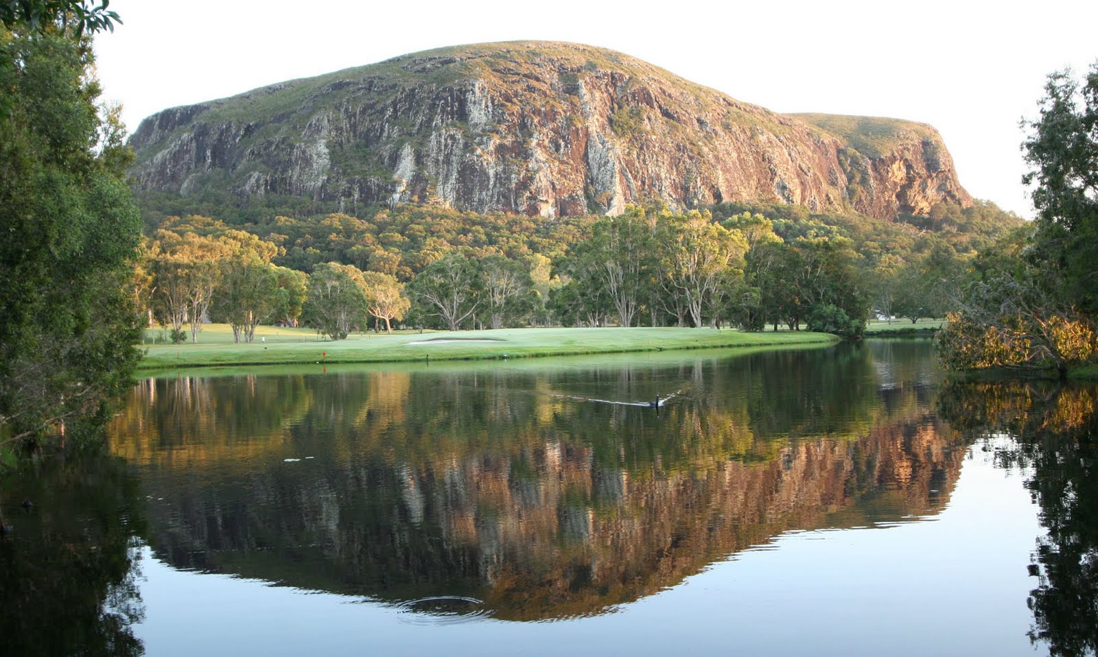 Noosa Life&Style The mystery of the romantic tree carving at the top