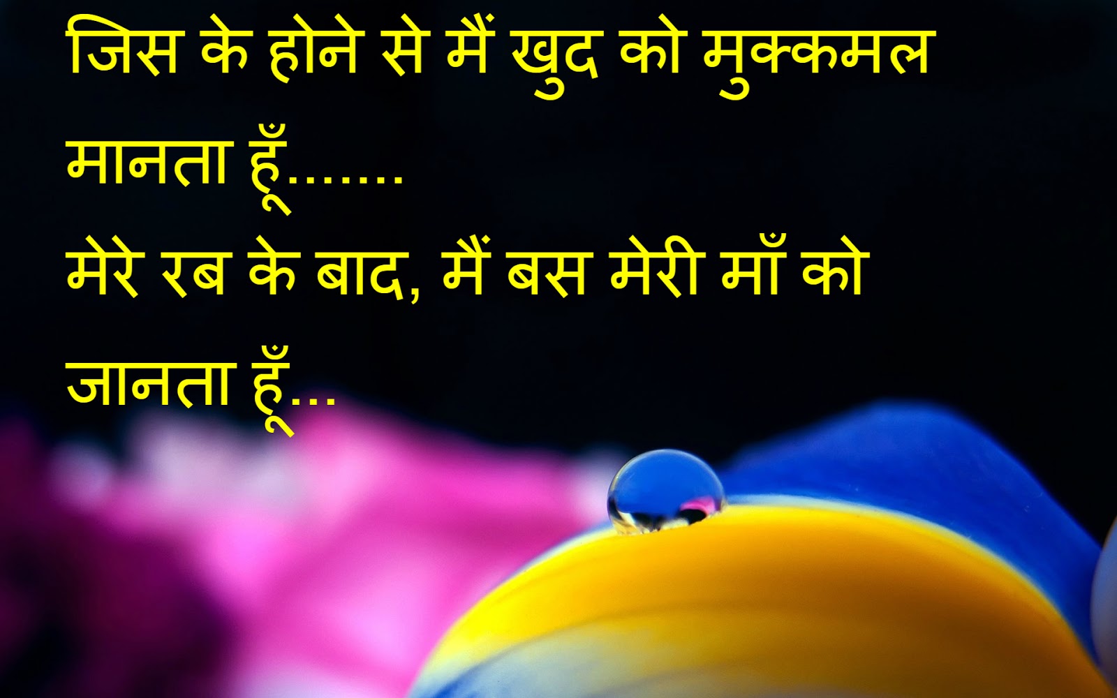 50 Happy Anniversary  Mummy  Papa  Quotes  In Hindi hindi 
