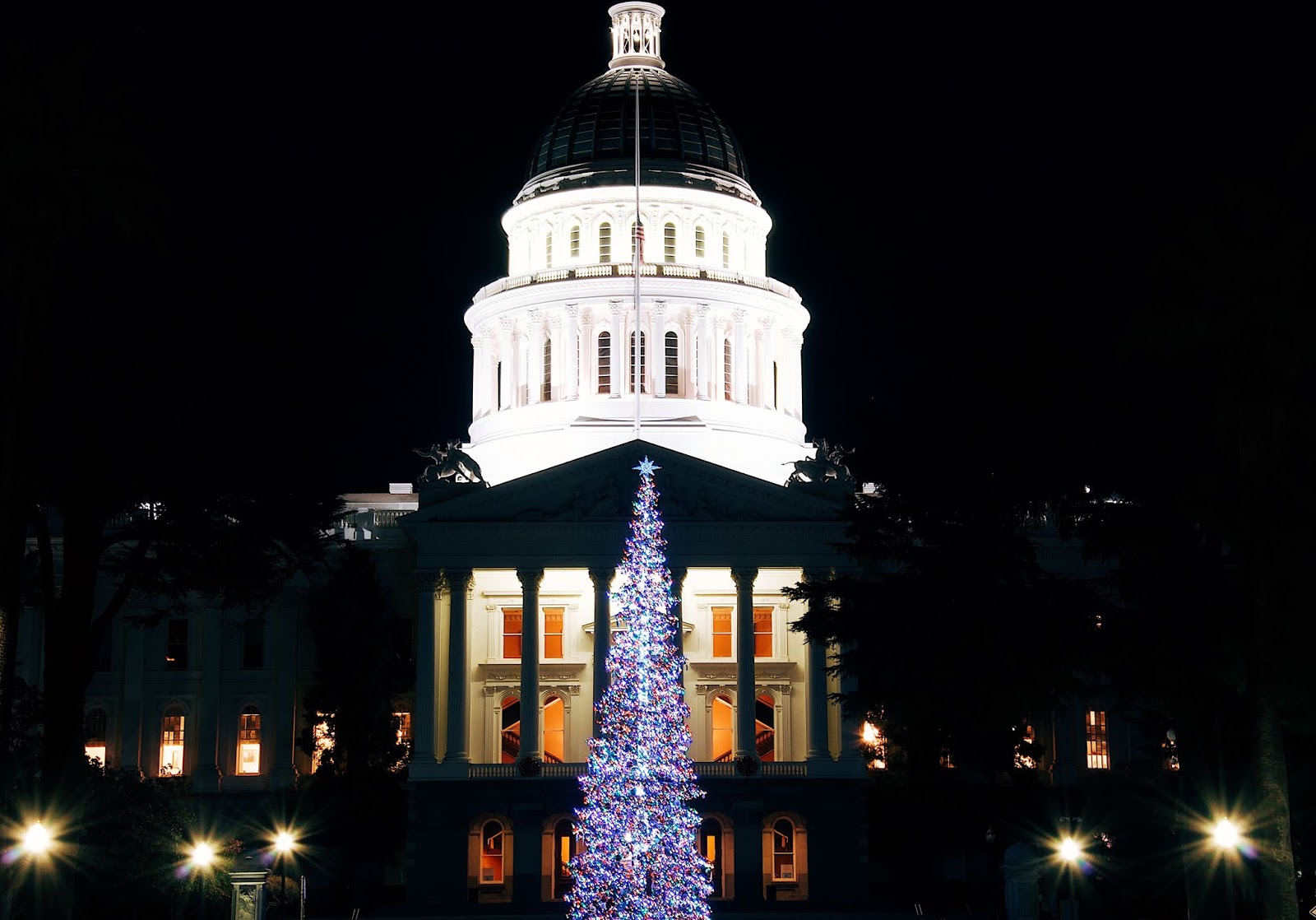 Beginner's Guide to Sacramento Christmas in Sacramento Maddy Eccles