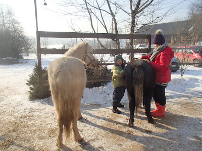 konie, jazda konna,jazda konna w zimie,jazda w terenie, zabawy na śniegu, zimowy piknik
