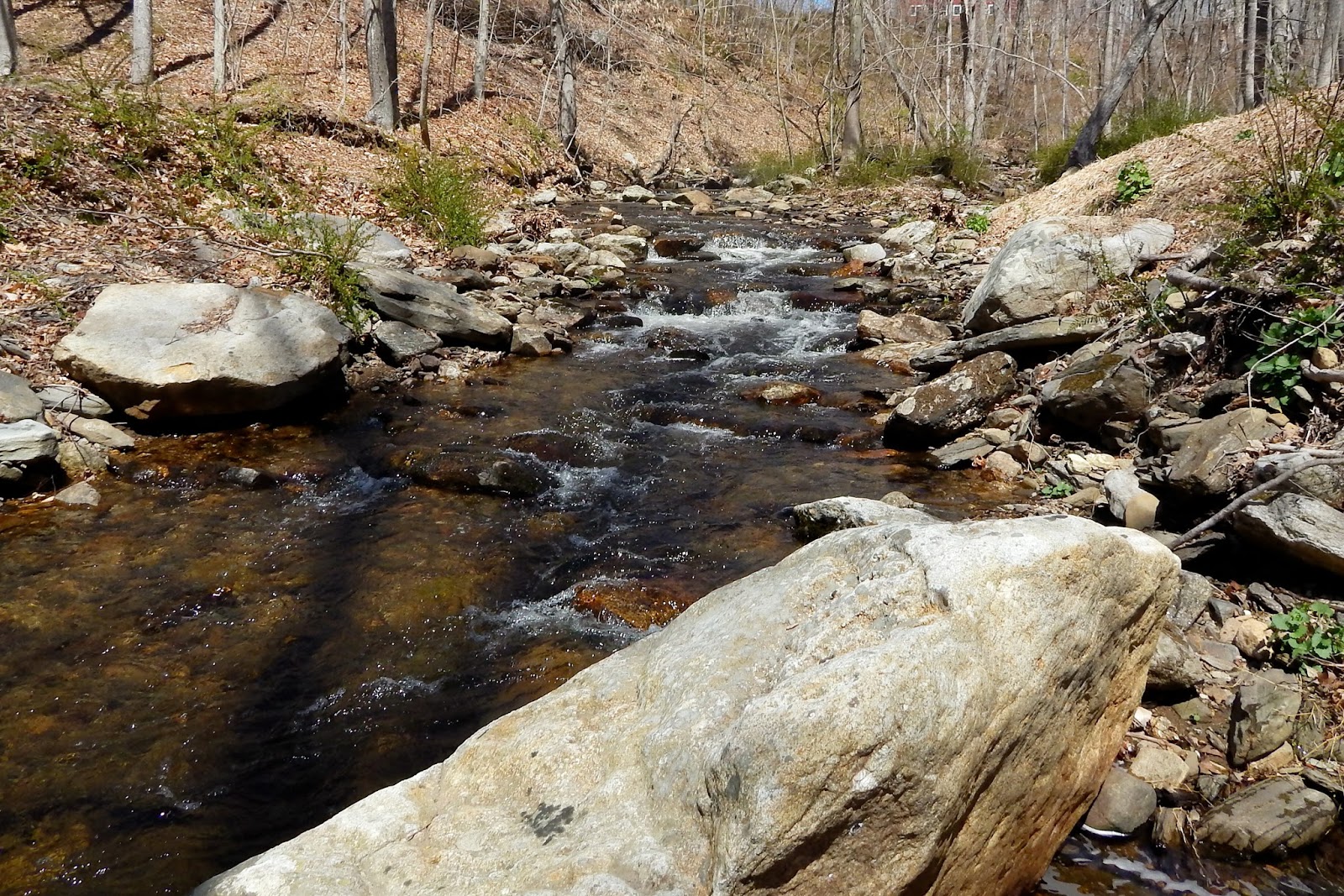 Small Stream Reflections A Personal Best, Connecticut Small Stream
