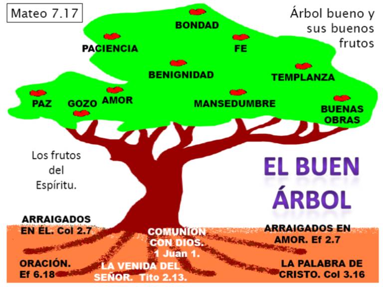 lojeda El árbol es bueno cuando da frutos buen lojeda El árbol es bueno cuando da frutos buen