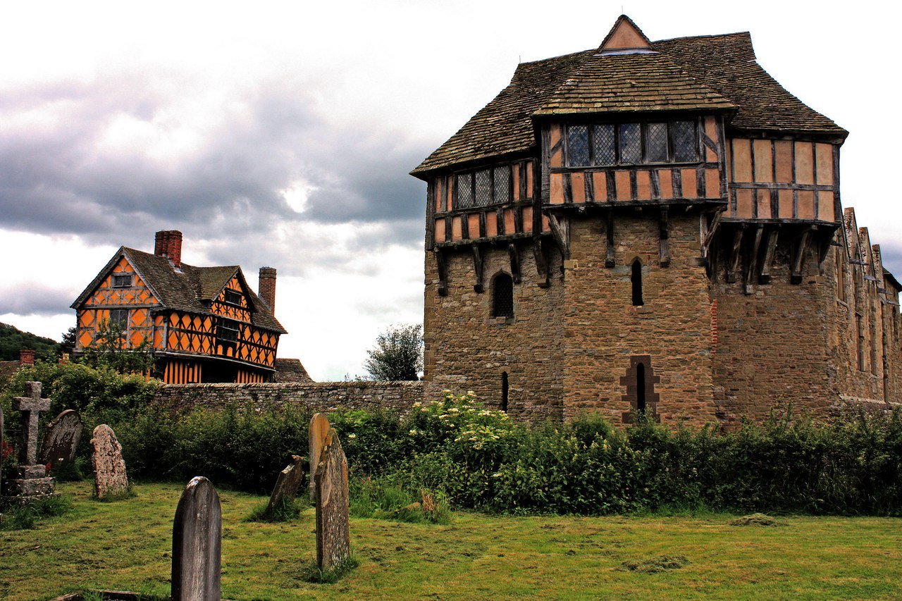 Stocksy. Stocksy. Аутентичный контент. Stocksy логотип без фона. Stocksy.