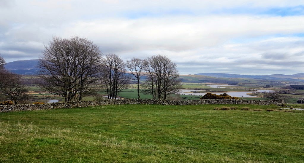 The Glebe Blog: Wigtownshire Ramblers Newton Stewart Circular April 2015
