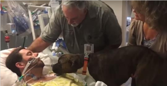 The Man On His Deathbed Receives The Last Visit Of His Best Friend