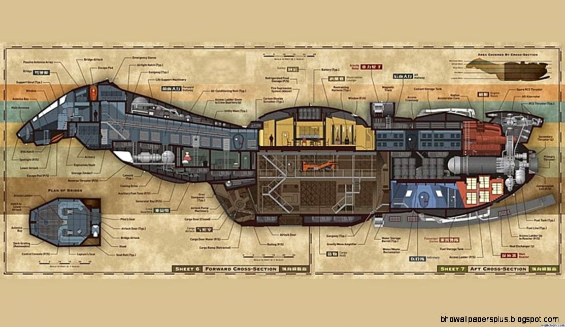 Firefly wallpaperotherhealth questionspicturesfotos