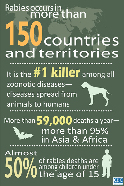 Health Observation: Rabies Awareness