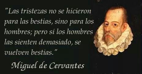 Ver las imágenes de origen