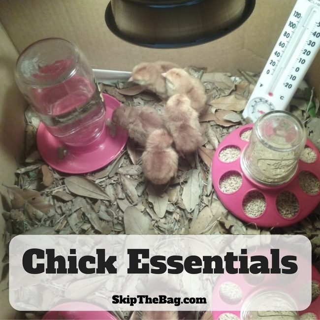 The Top Breastfeeding Essentials - Baby Chick