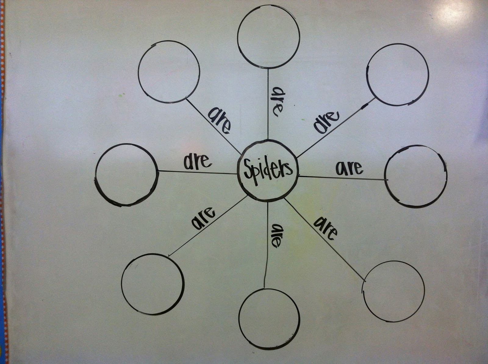 Kindergarten with Ms. Kylie: All About Spiders!