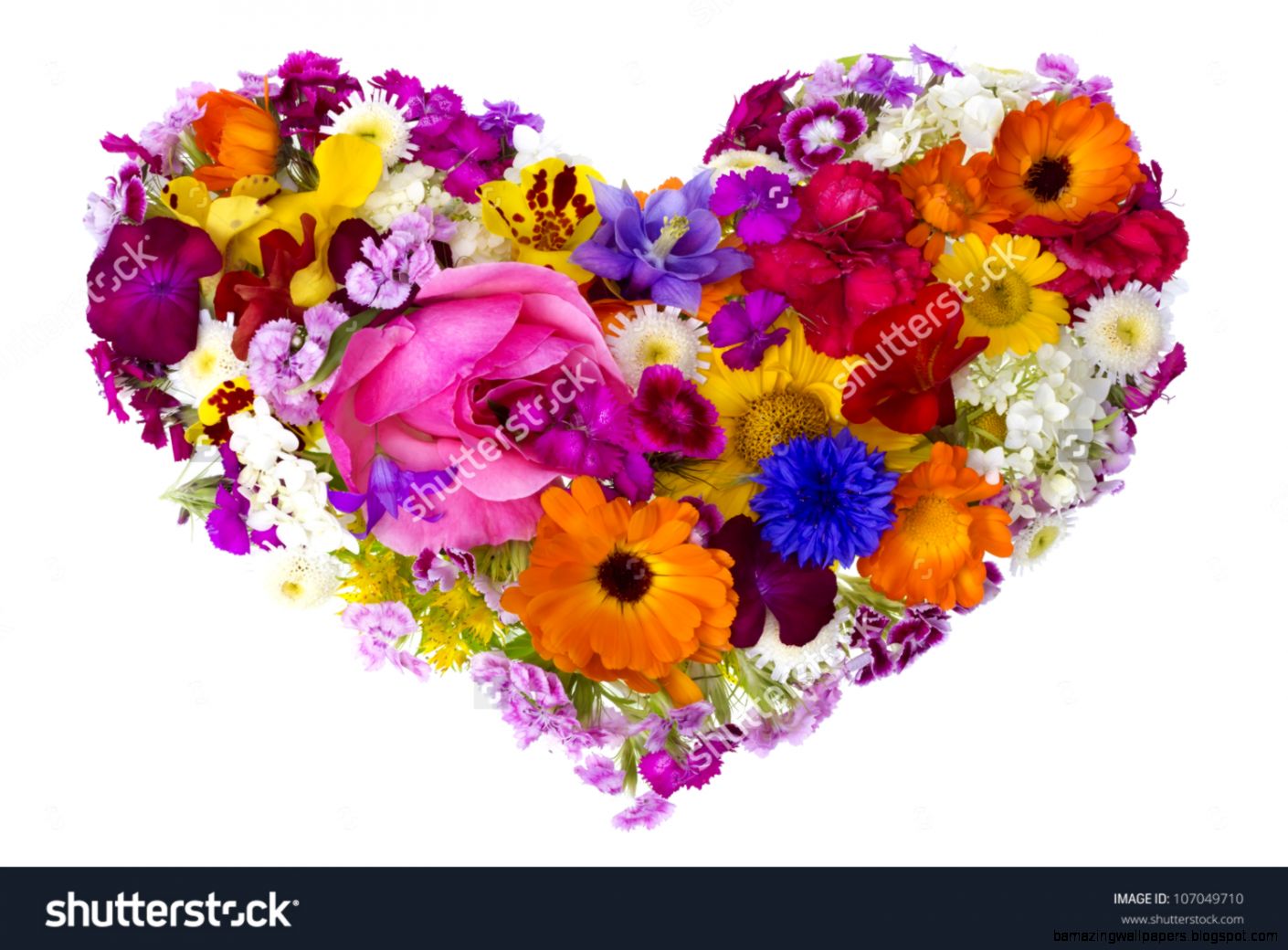 Hearts And Flowers Stock Photos Images  Pictures  Shutterstock