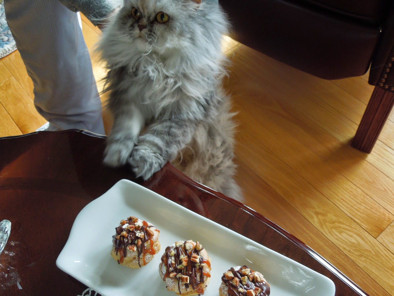 Kala-Dawn's Kreations: Turtle Cream Puffs